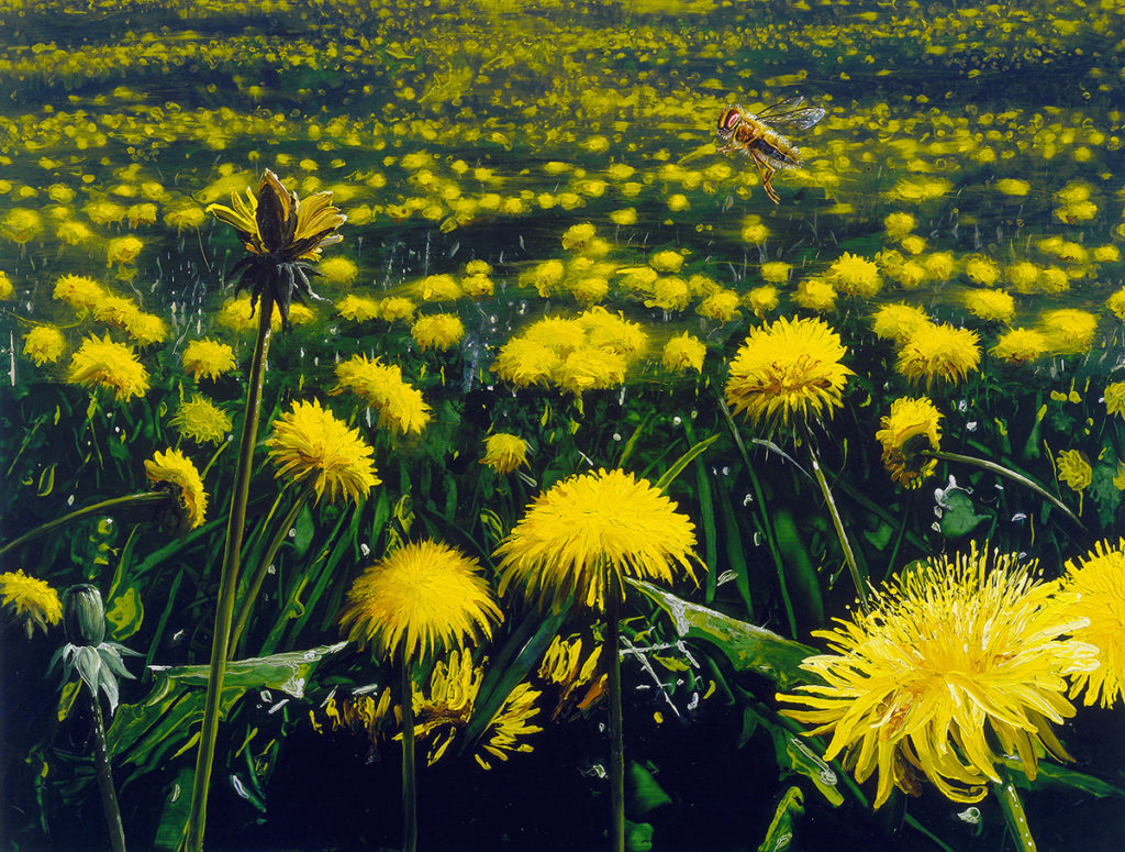 Paintings of dandelions and a bee
