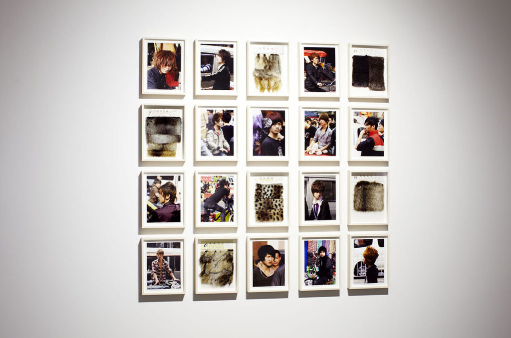 framed photographs in gallery
