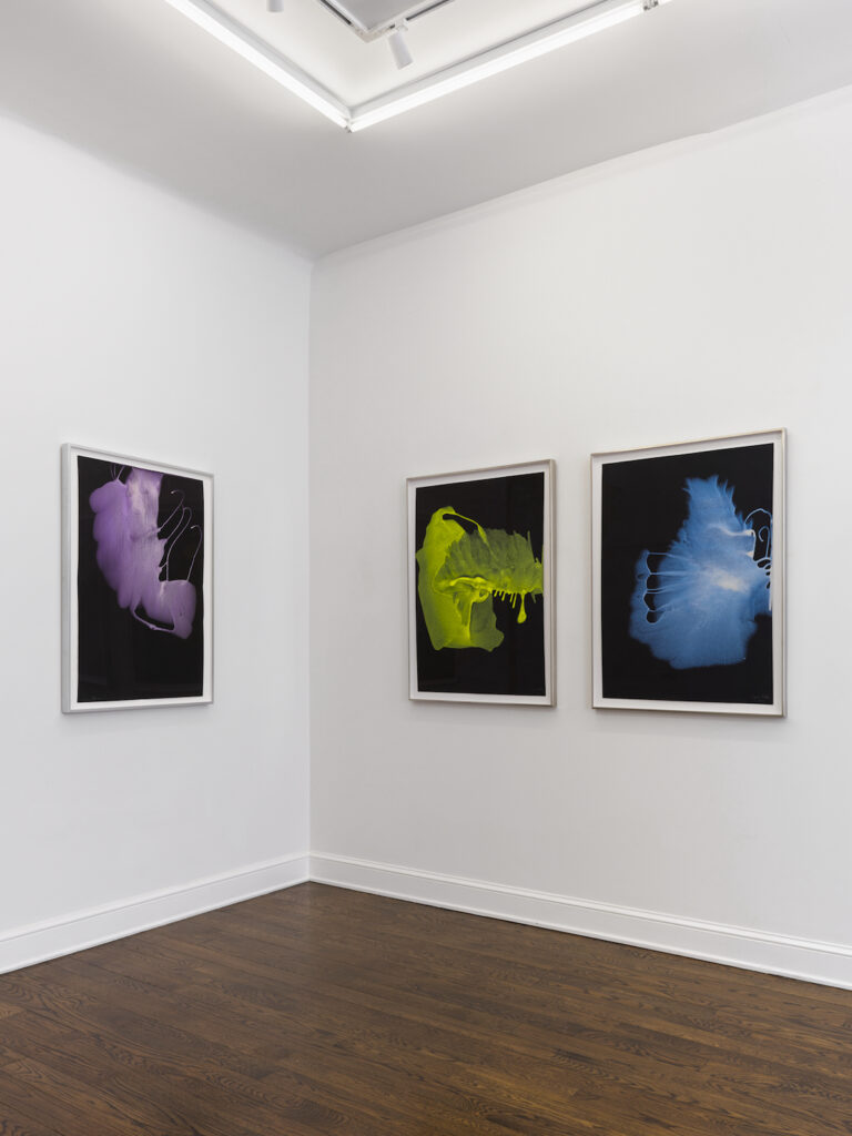 Installation View, Sigmar Polke, Interference works