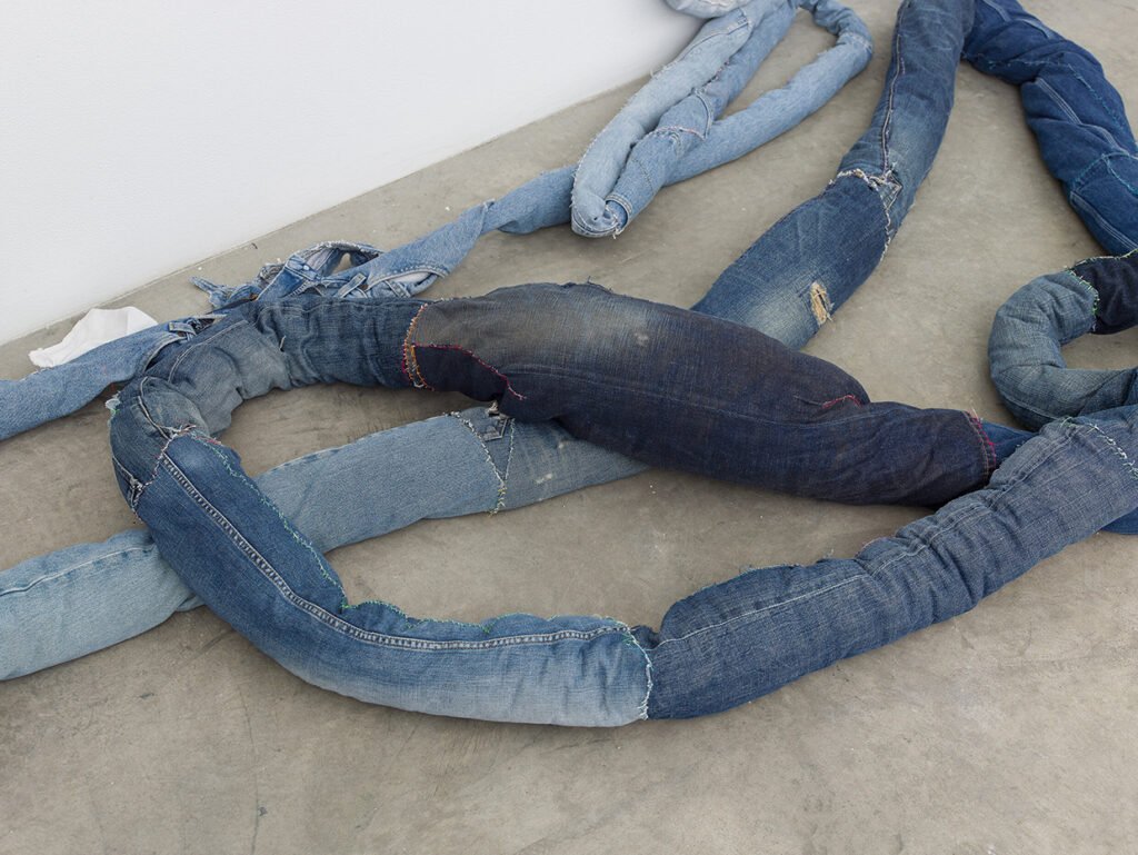 Anna Sew Hoy, Denim Worm