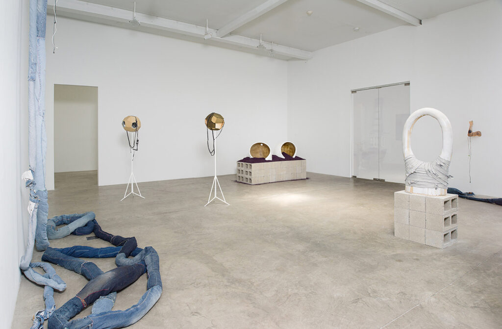 Anna Sew Hoy, Invisible Tattoo, installation view