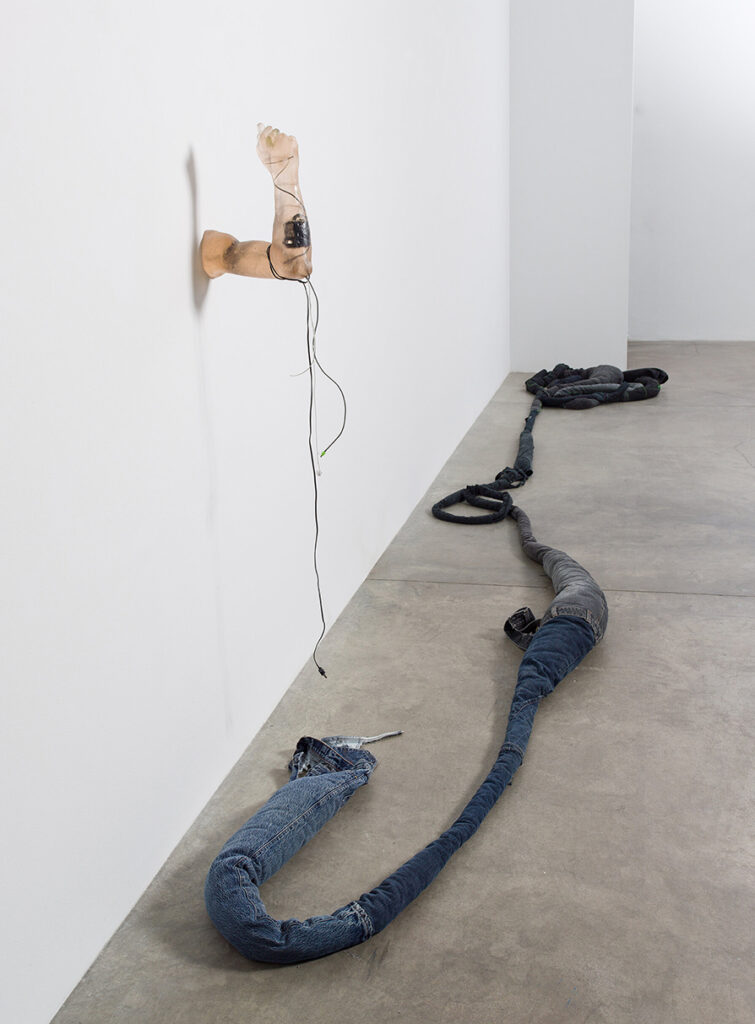 Anna Sew Hoy, Invisible Tattoo, installation view