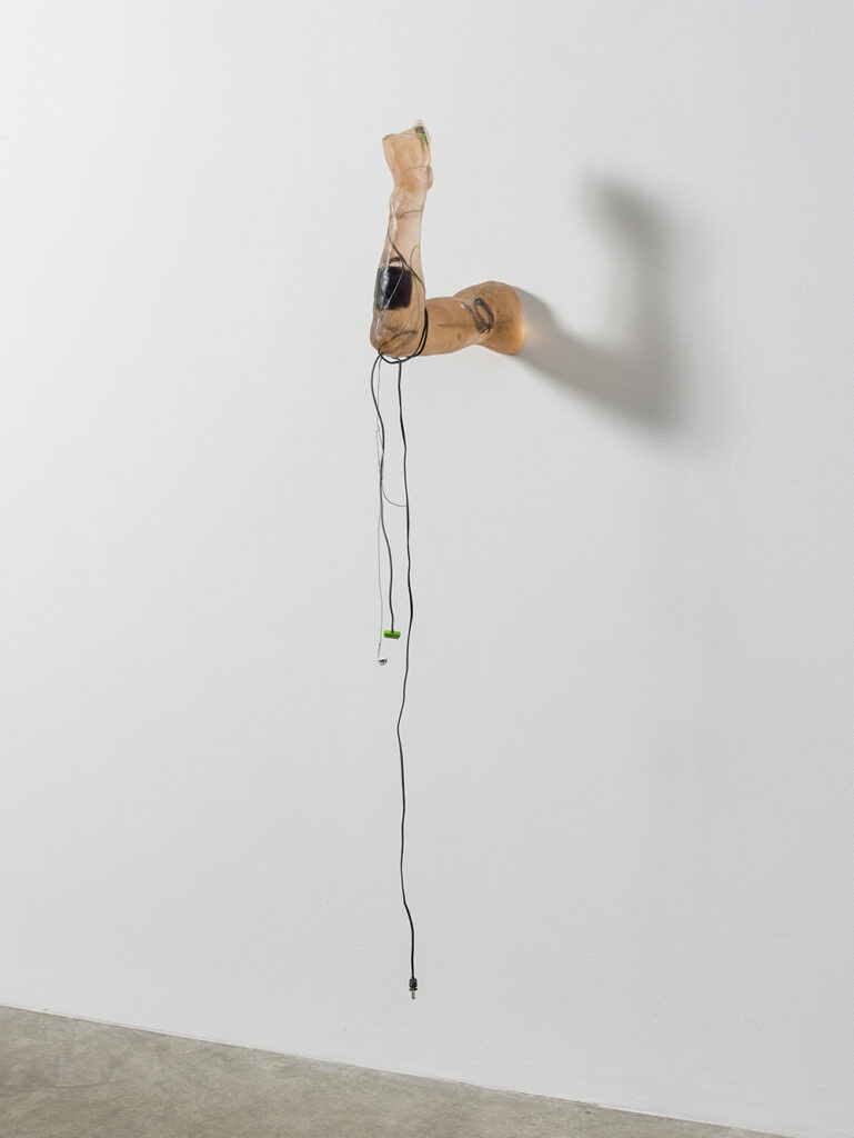 Anna Sew Hoy, Utopic Accumulation Arm Hook