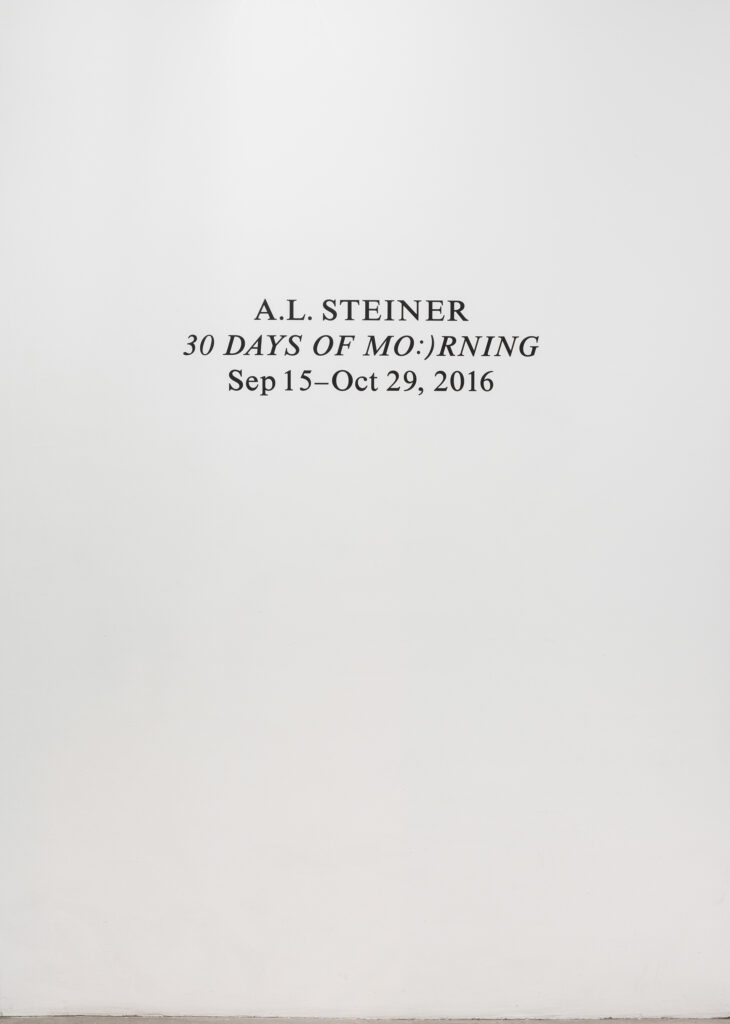 A. L. Steiner: 30 Days Of Mo:)rning, installation entry