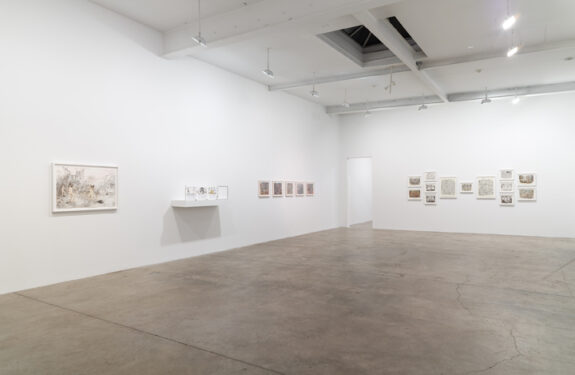 Bodily Imaginaries, installation view