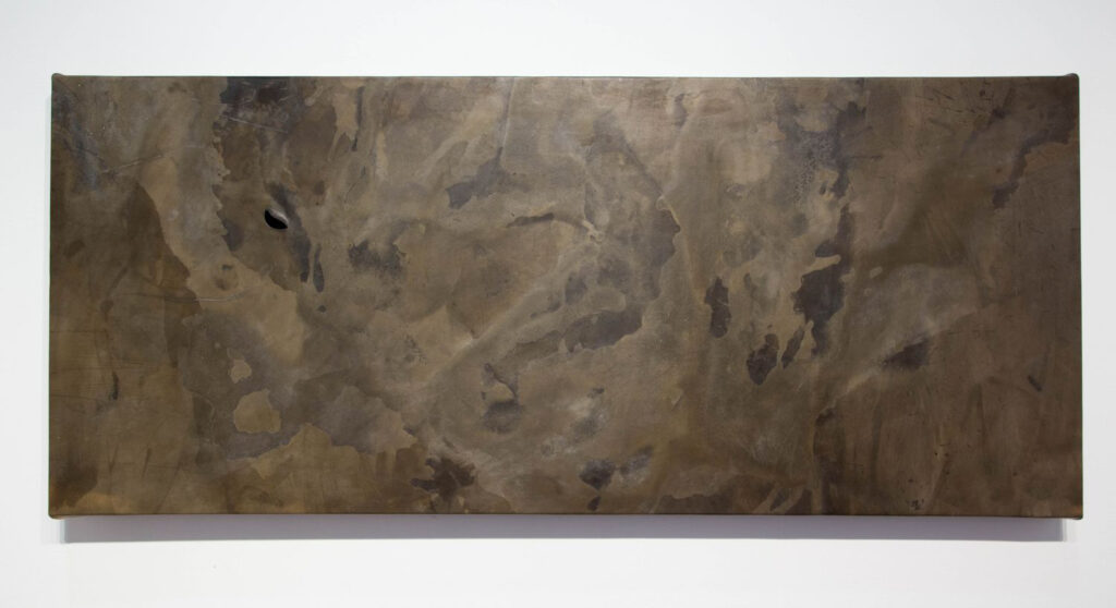 Rindon Johnson painting, There is a Type of Squid