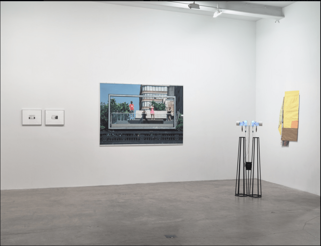 Organic Situation: Installation View