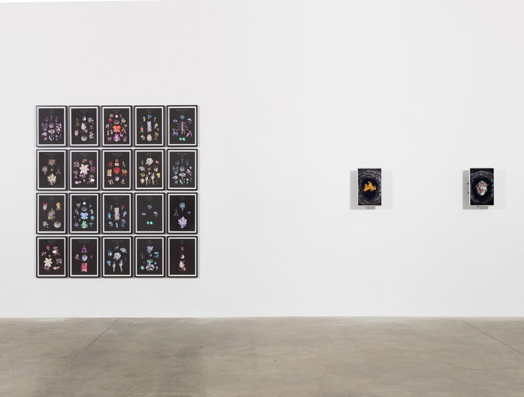 Trans-subjective Engagements, installation view