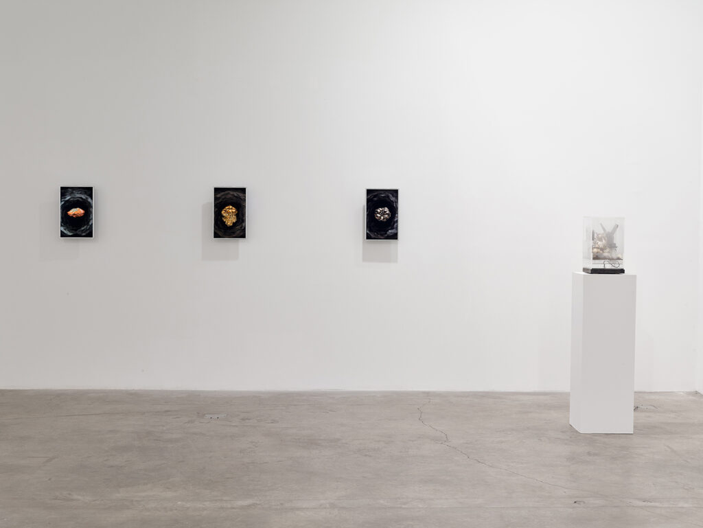 Trans-subjective Engagements, installation view