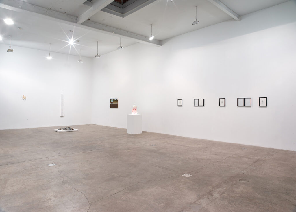 Trans-subjective Engagements, installation view