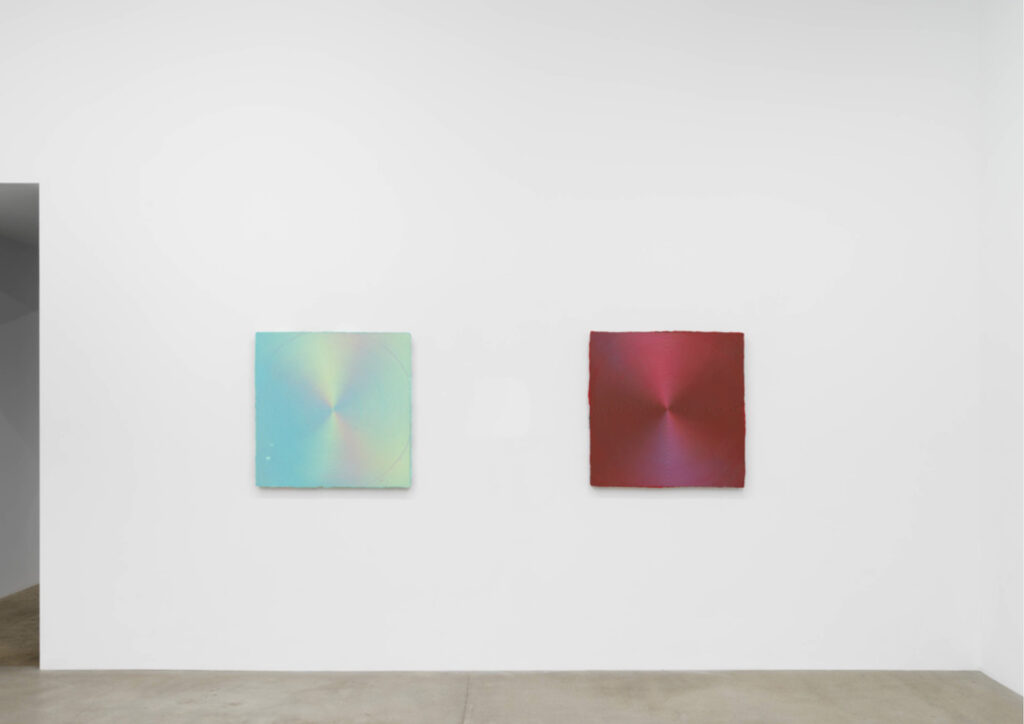 Anoka Faruqee & David Driscoll: Relative Brightness, installation view