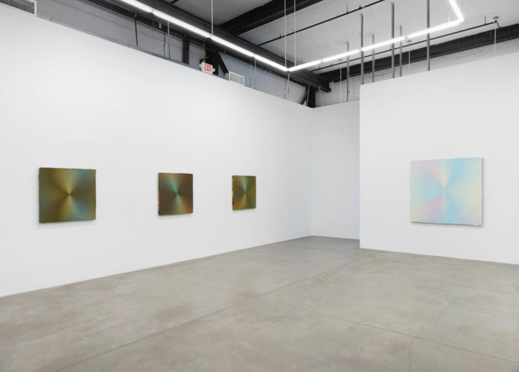 Anoka Faruqee & David Driscoll: Relative Brightness, installation view