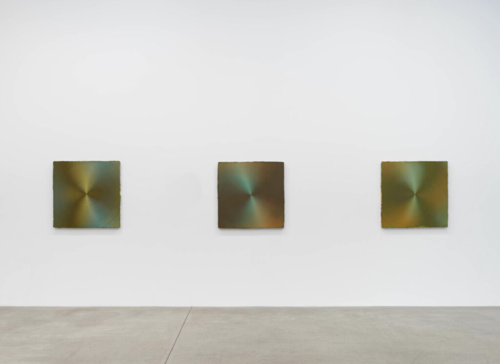 Anoka Faruqee & David Driscoll: Relative Brightness, installation view