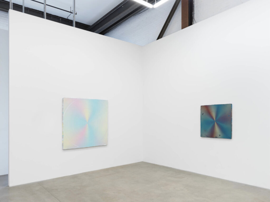 Anoka Faruqee & David Driscoll: Relative Brightness, installation view