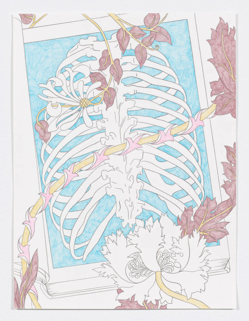 Caitlin Keogh, Untitled (Bio)