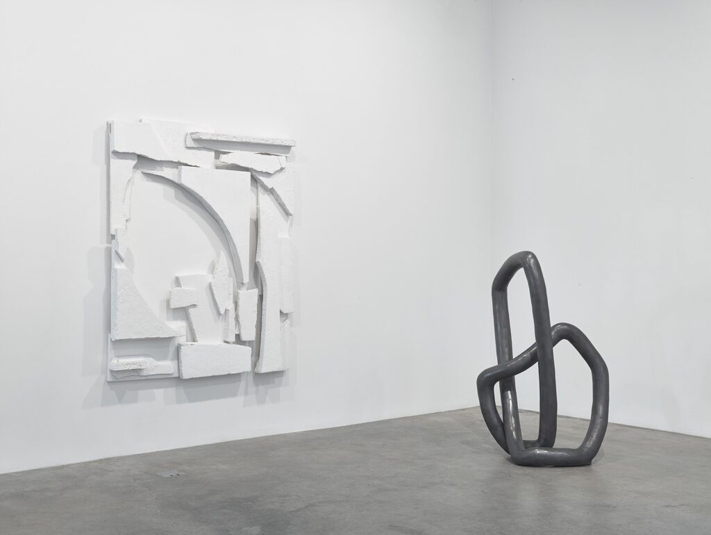 Carolyn Salas, installation view