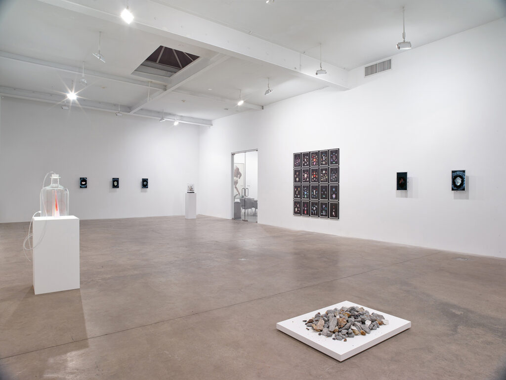 Trans-subjective Engagements, installation view